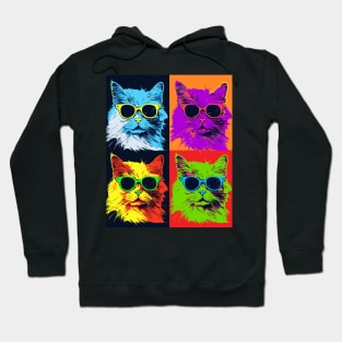 Funny Cat Gifts Men Kids Women Novelty Black Cat Hoodie